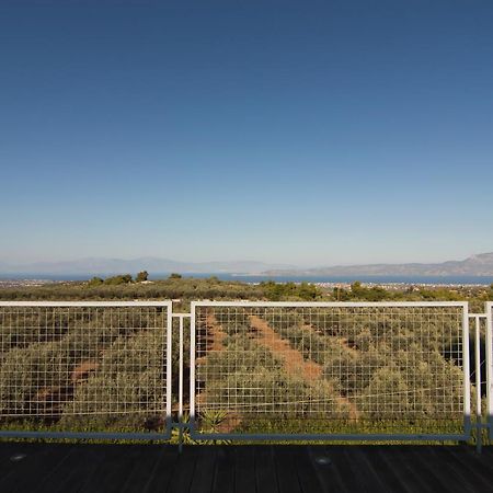 Country Villa Peloponnese With Tennis Court And Pool Zevgolateíon Exterior foto